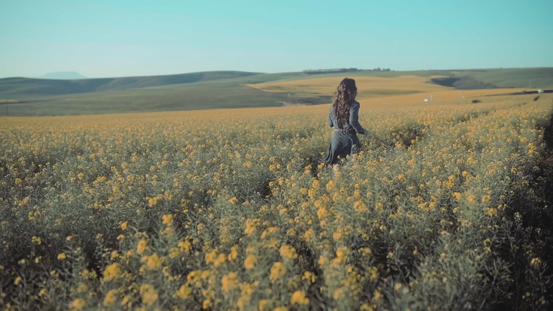 Ladda video: